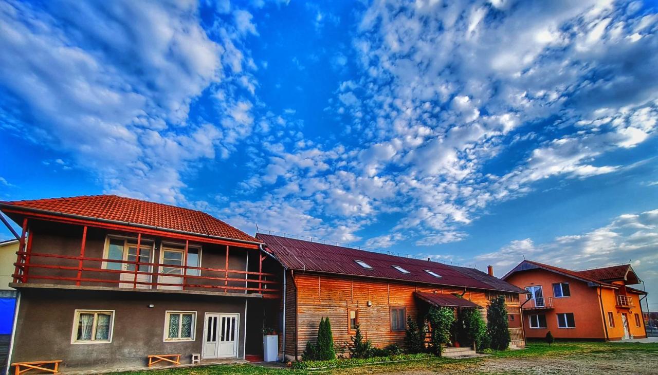 Pensiunea Sanziana Hotell Oradea Exteriör bild