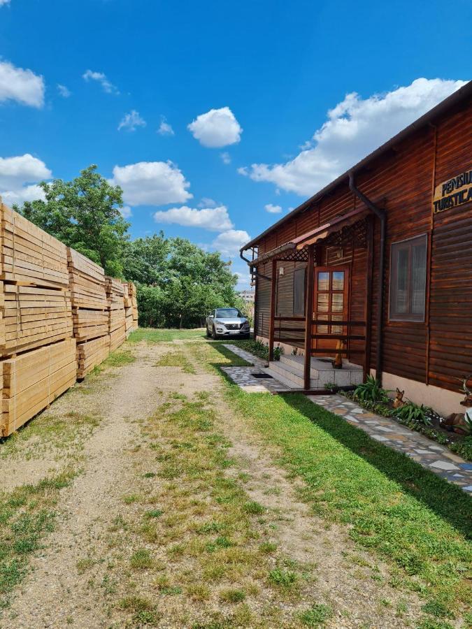 Pensiunea Sanziana Hotell Oradea Exteriör bild