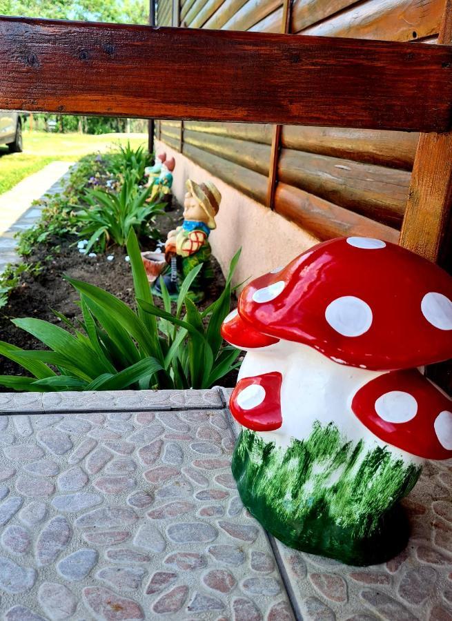 Pensiunea Sanziana Hotell Oradea Exteriör bild